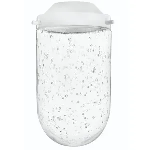 Hinkley Foundry Glass Accessory Clear Seedy by Hinkley, a Lighting for sale on Style Sourcebook