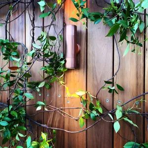 CLA Weatherproof Outdoor Up/Down Wall Spotlight in Cylindrical Design Copper by Compact Lamps Australia, a Wall Lighting for sale on Style Sourcebook