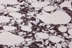 Calacatta Viola™ by MinQ Zero¬Æ Mineral Surfaces, a Silica Free Surfaces for sale on Style Sourcebook