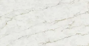 River Birch - Stone Overlay by Granite Transformations, a Stone Overlays for sale on Style Sourcebook