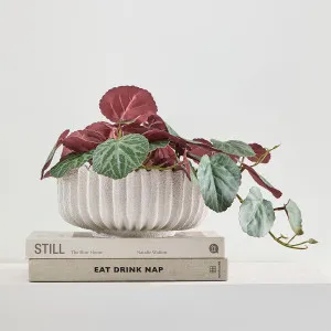 Muse Reef Decorative Bowl White by Muse, a Bowls for sale on Style Sourcebook