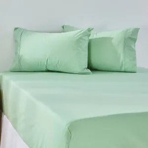 Pillow Talk 225Tc Cotton Fitted Sheet Green by Pillow Talk, a Sheets for sale on Style Sourcebook