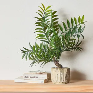 Muse Bespoke Potted Plant Green by Muse, a Plants for sale on Style Sourcebook