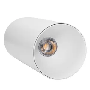 Telbix Sova Minimalist Cylinder Surface Mount LED CTC Light - White by Telbix, a Lighting for sale on Style Sourcebook