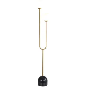 Oriel Lighting Tropez Contemporary Floor Lamp with Dual Glass Shades Satin Brass by Oriel Lighting, a Lamps for sale on Style Sourcebook
