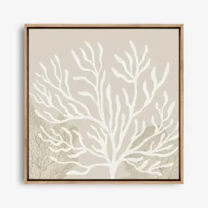 Coastal Reef VI (Square) Canvas Print by The Print Emporium, a Prints for sale on Style Sourcebook