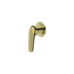 Tela Wall/Shower Mixer Round Trim Kit Brushed Gold by Haus25, a Laundry Taps for sale on Style Sourcebook