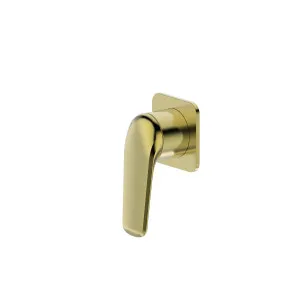 Tela Wall/Shower Mixer Square Trim Kit Brushed Gold by Haus25, a Laundry Taps for sale on Style Sourcebook