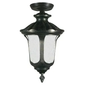Waterford Medium Outdoor Under Eave, Antique Black by Lighting Inspirations, a Lamps for sale on Style Sourcebook