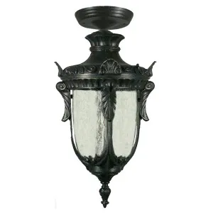 Wellington Medium Outdoor Under Eave, Antique Black by Lighting Inspirations, a Lamps for sale on Style Sourcebook