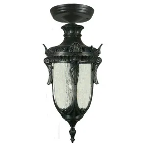 Wellington Small Outdoor Under Eave, Antique Black by Lighting Inspirations, a Lamps for sale on Style Sourcebook