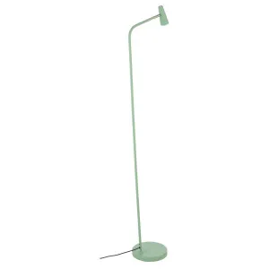 Bexley Floor Lamp, Green by Telbix, a Lamps for sale on Style Sourcebook