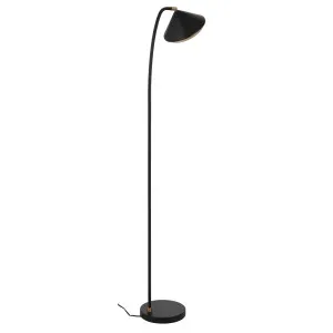 Larson Floor Lamp, Black by Telbix, a Lamps for sale on Style Sourcebook