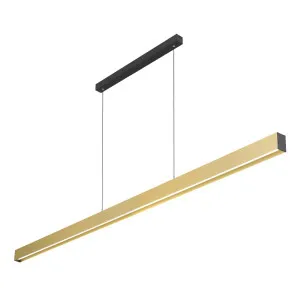 Navaro 240 Pendant, Gold Black by Telbix, a Fixed Lights for sale on Style Sourcebook
