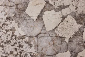 Patagonia Quartzite by NatrocciaÂ® Natural Stone, a Quartzite for sale on Style Sourcebook