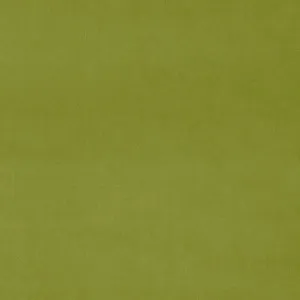 LF3838CFR Omega 33 Pistachio by Linwood, a Fabrics for sale on Style Sourcebook