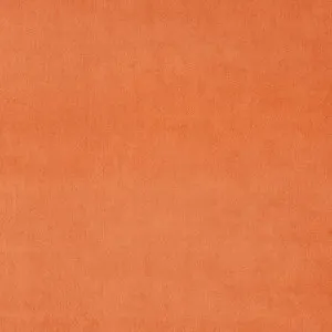 LF3838CFR Omega 135 Papaya by Linwood, a Fabrics for sale on Style Sourcebook
