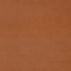 LF3838CFR Omega 136 Tumeric by Linwood, a Fabrics for sale on Style Sourcebook