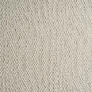 Zola Chalk by Ashley Wilde, a Fabrics for sale on Style Sourcebook