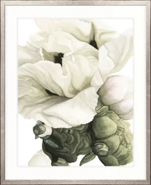 Peonies & Roses VIII by Designer Boys, a Premium Art for sale on Style Sourcebook