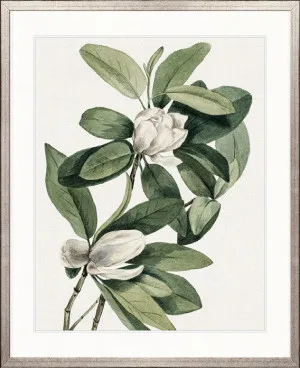 Phillipson Floral IV by Designer Boys, a Premium Art for sale on Style Sourcebook