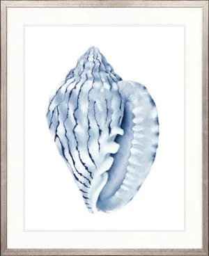 Exquisite Shell V (Indigo) by Designer Boys, a Premium Art for sale on Style Sourcebook