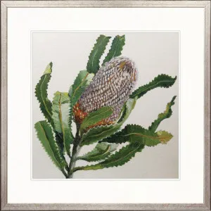 Australian Native V by Designer Boys, a Premium Art for sale on Style Sourcebook