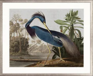 Exquisite Bird VII by Designer Boys, a Premium Art for sale on Style Sourcebook