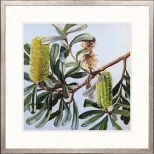 Australian Native VI by Designer Boys, a Premium Art for sale on Style Sourcebook