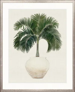 Palm Beauty I by Designer Boys, a Premium Art for sale on Style Sourcebook