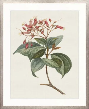 Floral Elegance III by Designer Boys, a Premium Art for sale on Style Sourcebook