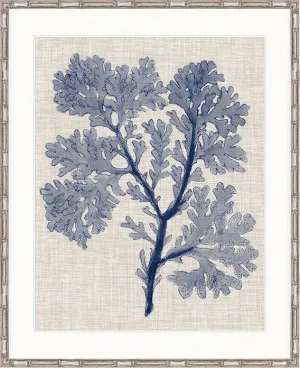 Delicate Seaweed V by Designer Boys, a Premium Art for sale on Style Sourcebook