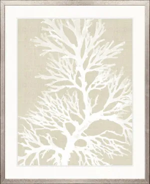 Seaweed Harmony II by Designer Boys, a Premium Art for sale on Style Sourcebook