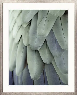 La Plume III by Designer Boys, a Premium Art for sale on Style Sourcebook