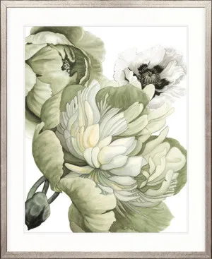 Peonies & Roses VI by Designer Boys, a Premium Art for sale on Style Sourcebook