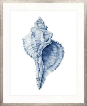 Exquisite Shell III (Indigo) by Designer Boys, a Premium Art for sale on Style Sourcebook
