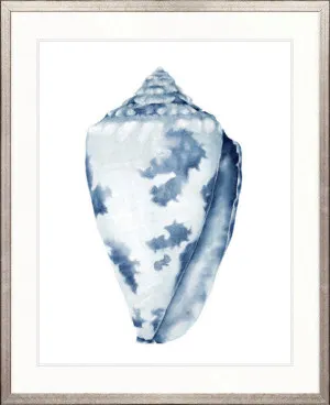 Exquisite Shell I (Indigo) by Designer Boys, a Premium Art for sale on Style Sourcebook