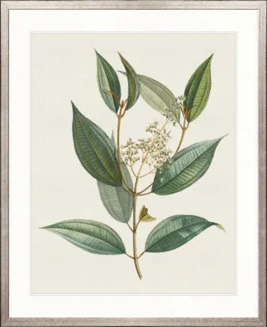 Floral Elegance VIII by Designer Boys, a Premium Art for sale on Style Sourcebook