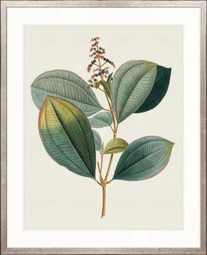 Floral Elegance V by Designer Boys, a Premium Art for sale on Style Sourcebook