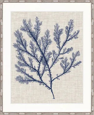 Delicate Seaweed I by Designer Boys, a Premium Art for sale on Style Sourcebook