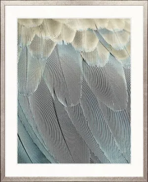La Plume IV by Designer Boys, a Premium Art for sale on Style Sourcebook