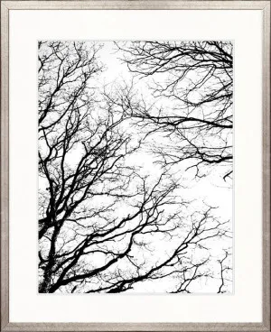 Tree Silhouette II by Designer Boys, a Premium Art for sale on Style Sourcebook