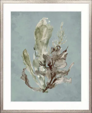 Margate Coral I by Designer Boys, a Premium Art for sale on Style Sourcebook