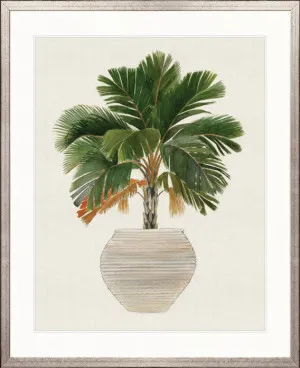 Palm Beauty V by Designer Boys, a Premium Art for sale on Style Sourcebook