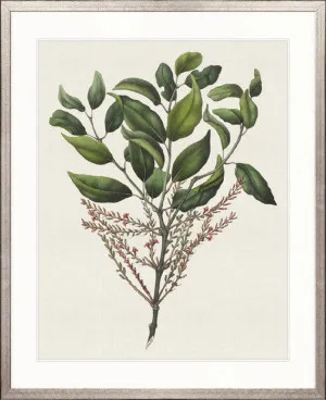 Botanical Bliss III by Designer Boys, a Premium Art for sale on Style Sourcebook