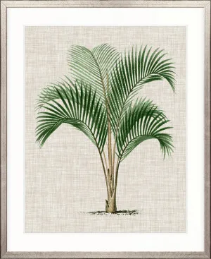 St Aman Palm I by Designer Boys, a Premium Art for sale on Style Sourcebook