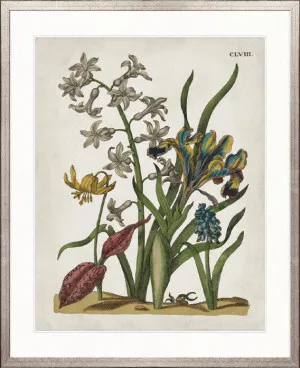 Vintage Floral IV by Designer Boys, a Premium Art for sale on Style Sourcebook