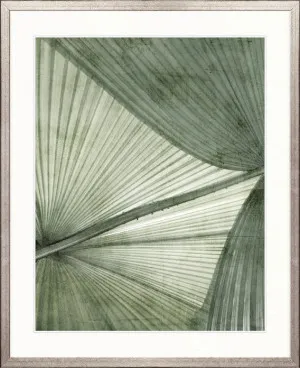 Palm Silhouette VI (Pale Green) by Designer Boys, a Premium Art for sale on Style Sourcebook