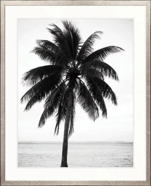 Palm Silhouette IV by Designer Boys, a Premium Art for sale on Style Sourcebook
