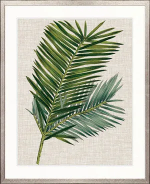 Tropical Evergreen I by Designer Boys, a Premium Art for sale on Style Sourcebook